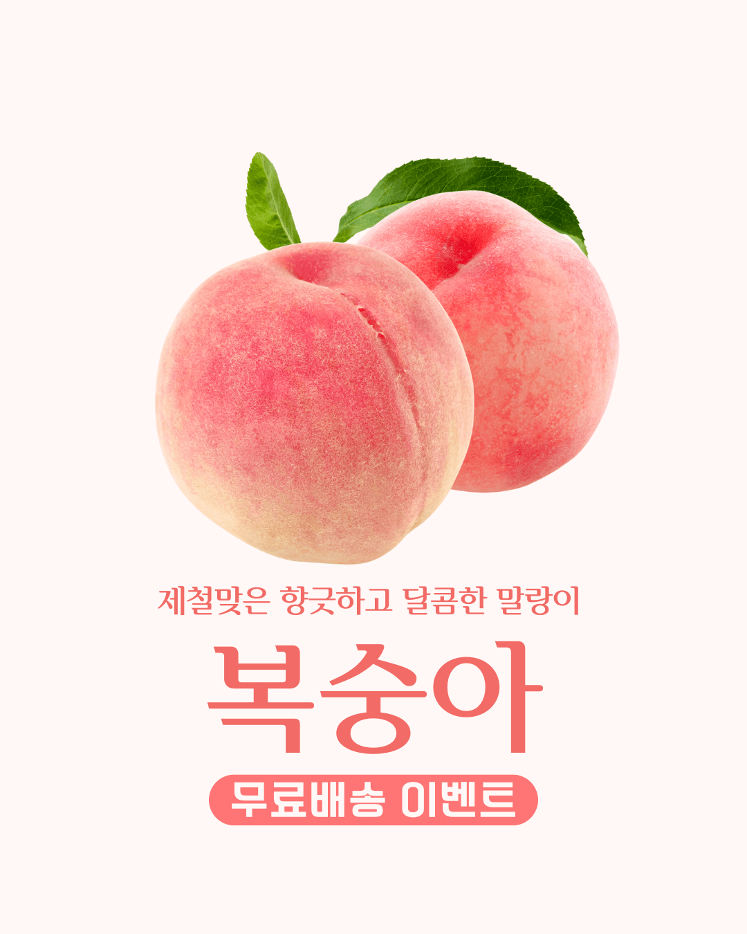 제철맞은 향긋하고 달콤한 말랑이 복숭아 무료배송 이벤트