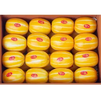 고당도 참외 10kg
