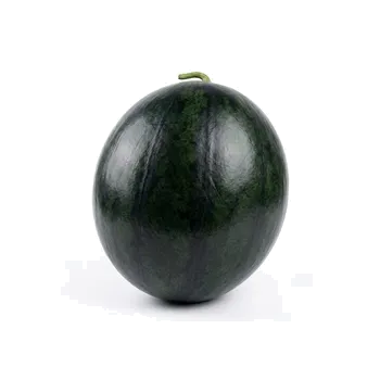흑미수박 5호(9kg 미만) 1통