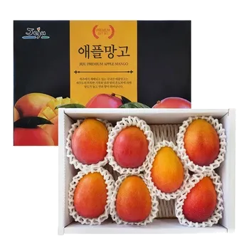 제주애플망고3kg (6~8입)