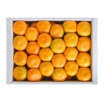 하우스 밀감 3kg